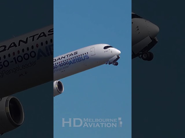 PROJECT SUNRISE Airbus A350-1000 Test Aircraft for Qantas Takeoff at Sydney to London #shorts