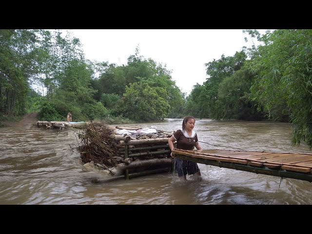 Heavy rain and floods - Do you believe that bamboo bridges can withstand floods? Dung bushcraft