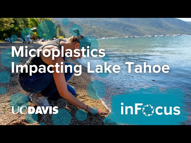 Microplastics Impacting Lake Tahoe