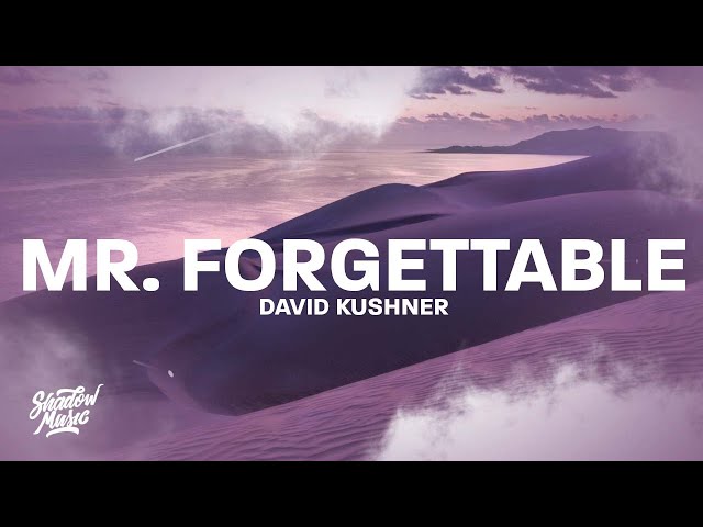 David Kushner - Mr Forgettable (Lyrics) "hello hello are you lonely im sorry its just the chemicals"