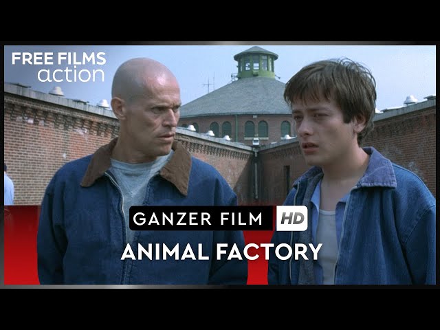 Animal Factory – mit Willem Dafoe und Danny Trejo, ganzer Film auf Deutsch kostenlos schauen in HD