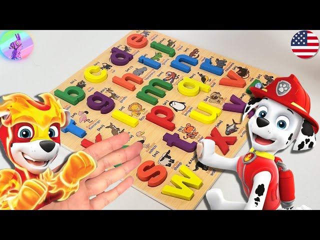 PAW Patrol: Learning ABC with Mighty Marshall! |  @Mr.Peterman HD