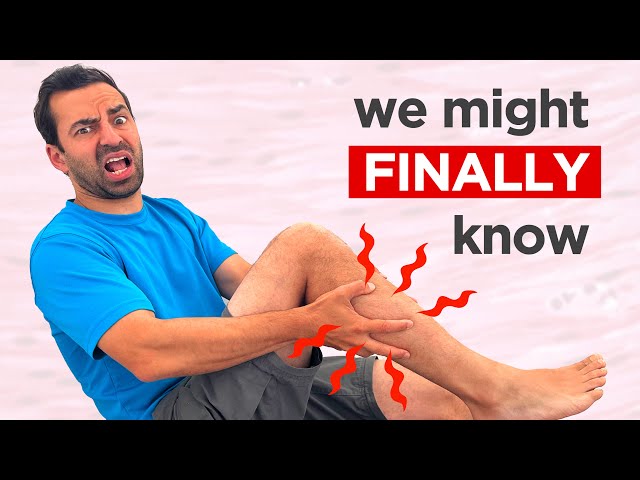 What actually ARE muscle cramps?