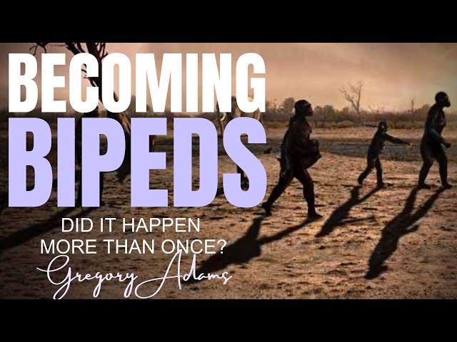 BECOMING BIPEDS - Did It Happen More Than Once? ~ with GREGORY ADAMS