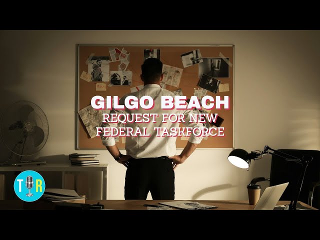 Should a New Federal Task Force Take Over the Gilgo Beach Murders Investigation? The Interview Room