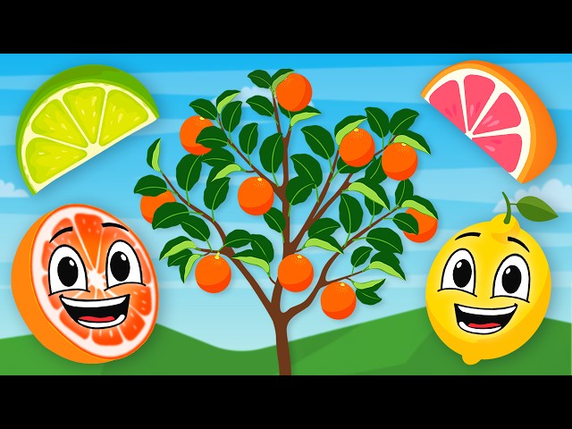 Learn About Fruits That Grow On Trees: Lemons , Limes, Oranges | Learning Fruits Song For Kids | KLT