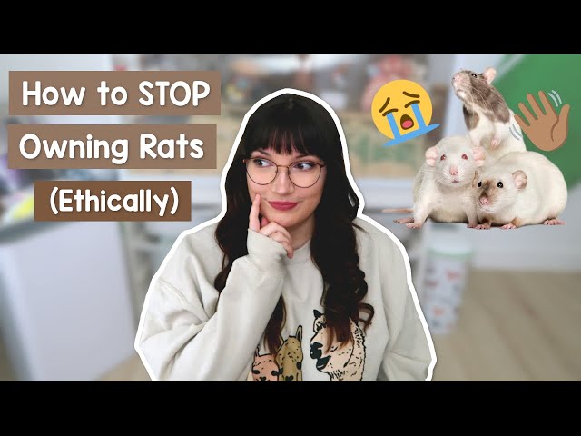 So you want to stop owning Rats?