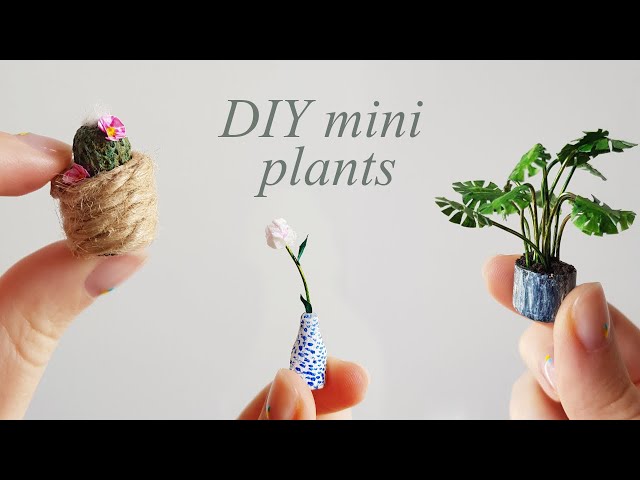 3 Miniature Plants (Easy DIY/Tutorial). Plantas en miniatura. Mini rośliny. Dollhouse furniture