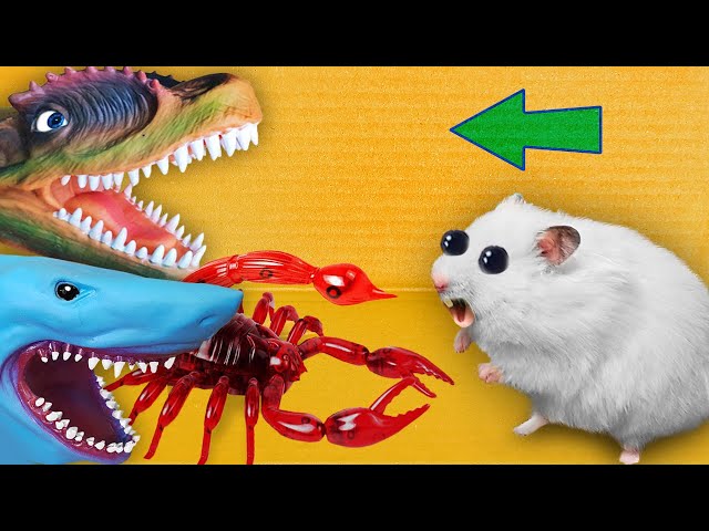 🦖 Dinosaur, Scorpio and Shark - Hamster Maze with Traps ☠️[OBSTACLE COURSE]