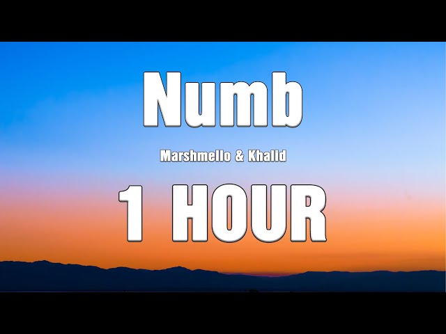 Marshmello & Khalid - Numb / Lyrics ( 1 HOUR )
