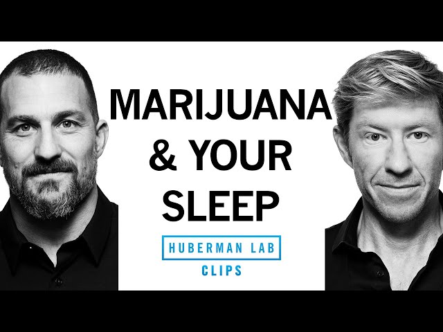 Does Marijuana Disrupt Your Sleep? | Matt Walker & Andrew Huberman