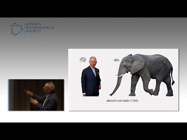Shaping the Brain: Mathematics of Folding and Connecting, Alain Goriely | LMS Popular Lectures 2019