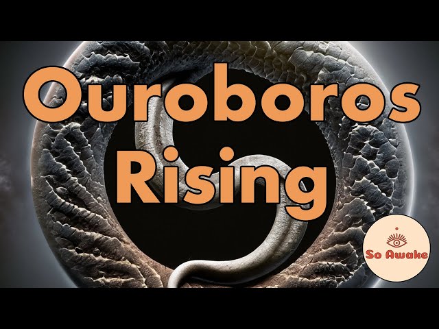 Ouroboros Rising #nonduality #advaita