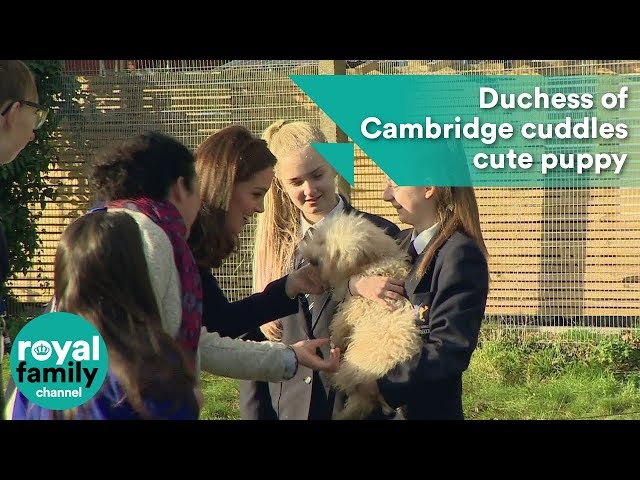 Duchess of Cambridge cuddles cute puppy on visit to school