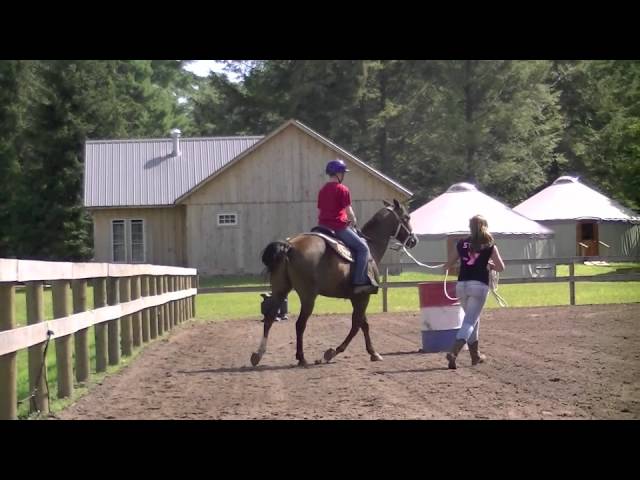 Frost Valley YMCA Horse Programs