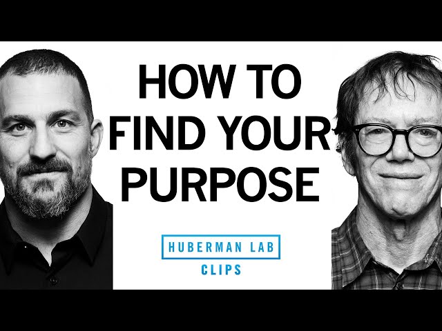How to Find Your Purpose | Robert Greene & Dr. Andrew Huberman