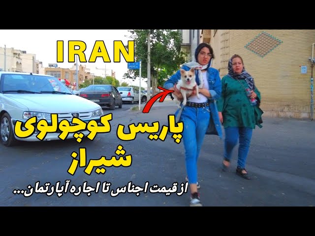 South of Shiraz 2023 Walking Tour - Iran Evening walk on Fadak and Fazl Abad Street فدک و فضل آباد