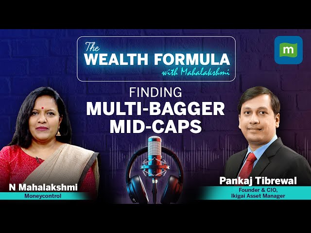 Finding Multi-Bagger Stocks: What, How and When | The Wealth Formula