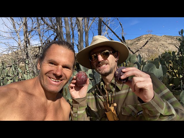 Last Prickly Pear Harvest with Chad Keel