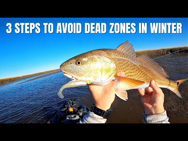 3 Steps To STOP Fishing Dead Zones In The Winter