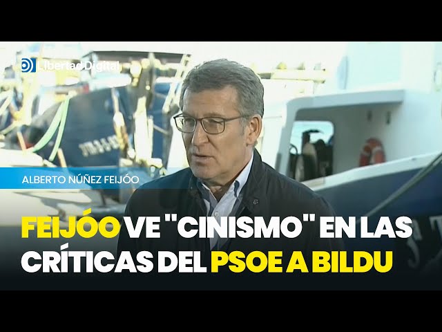 Feijóo afirma que ve "cinismo" en las críticas del PSOE a Bildu