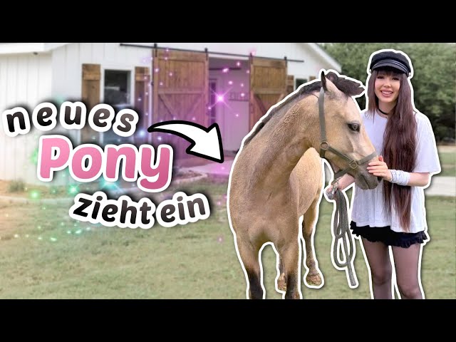 Willkommen! Ein neues Pony kommt auf den Rosenhof 🌹 | ViktoriaSarina
