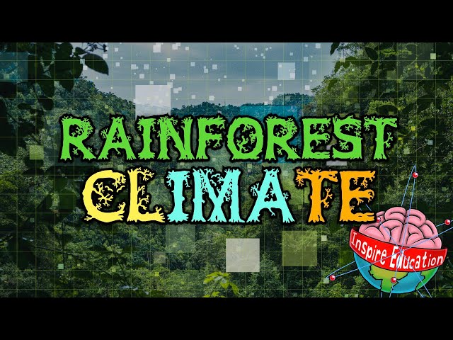 Rainforest Climates