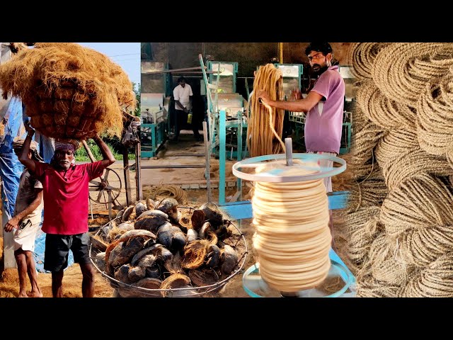 Coconut Coir Rope Making Industry | Coir Rope Manufacturing Process From Coconut Husk | #coirrope