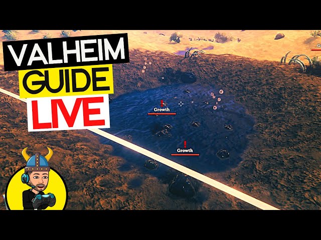 The Valheim Guide - LIVE! Tar Farming!