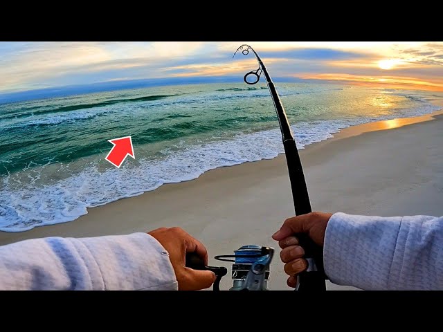 The Unexpected Happened While Surf Fishing (Lost for Words)