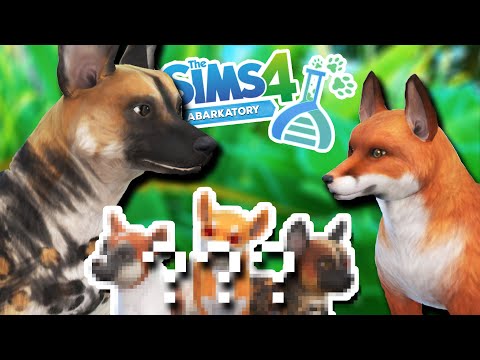 Sims 4 Random Pets Genetics Challenge
