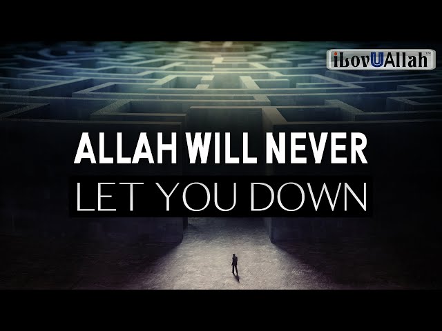 ALLAH WILL NEVER LET YOU DOWN