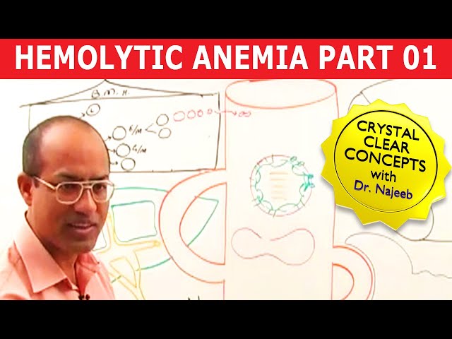 Hemolytic Anemia | Hematology |  Part 1🩺