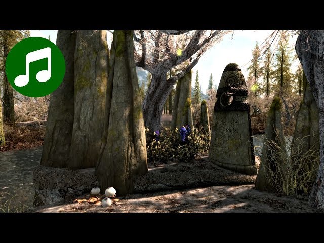 SKYRIM Ambient Music & Ambience 🎵 Apprentice Stone (Relaxing Gaming Music | Skyrim Soundtrack | OST)