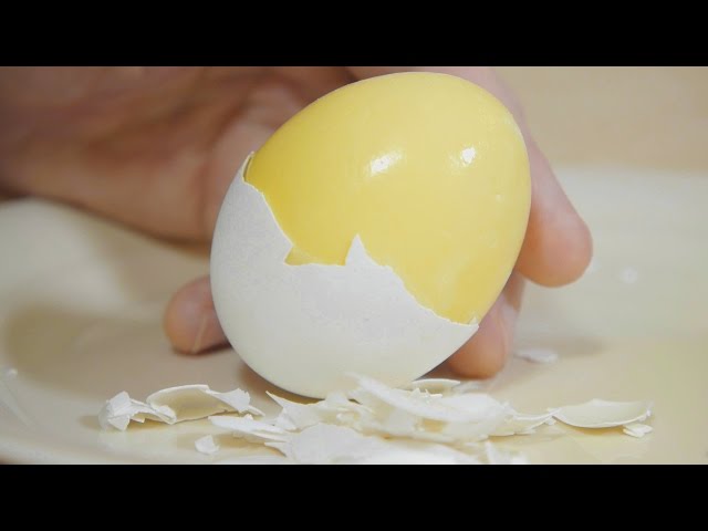 How to Scramble Eggs Inside Their Shell - NEW VERSION