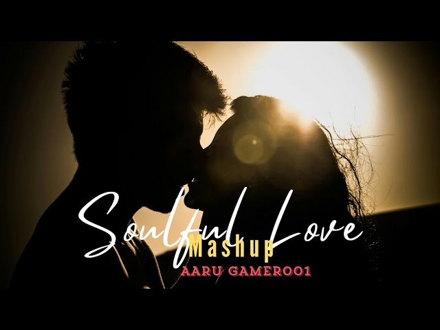 Soulful Love  | Animal X Shershaah Mashup | Lo-fi mix mashup  | Sufi Love Songs