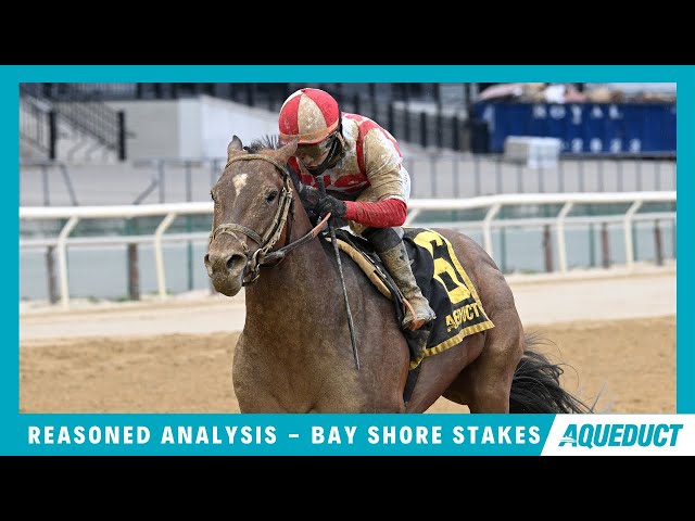 Reasoned Analysis - 2024 - The Bay Shore