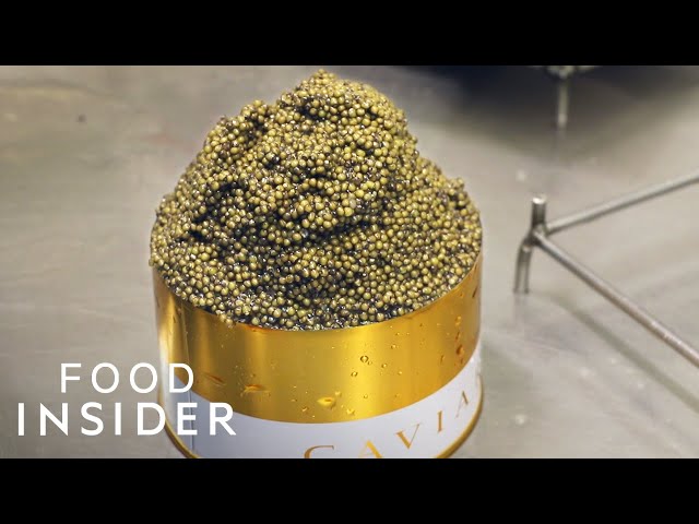 Inside Europe's Biggest Caviar Farm | Regional Eats | Insider Food