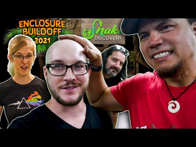 I Can't Believe Snake Discovery Let Me Do This! The BIGGEST Reptile Collab EVER! Build-Off 2021
