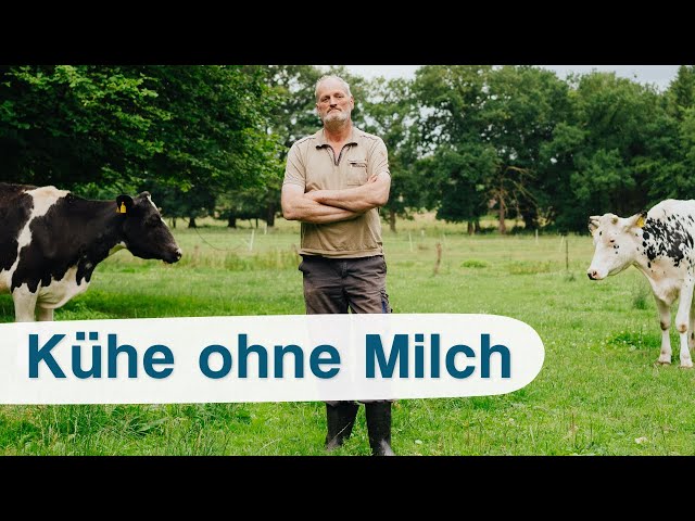 Milchbauer Steigt Aus und Macht ALLES ANDERS