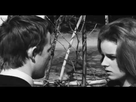 FILM: Fists In The Pocket (I Pugni In Tasca) 1965