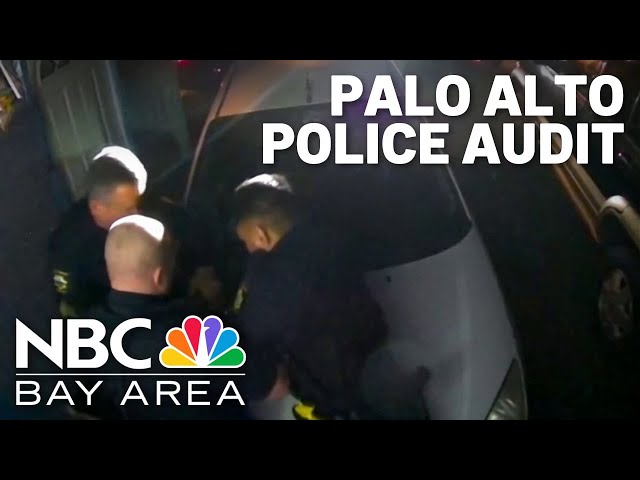 Palo Alto police abuse audit made public