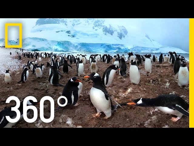 360° Antarctica - Unexpected Snow | National Geographic
