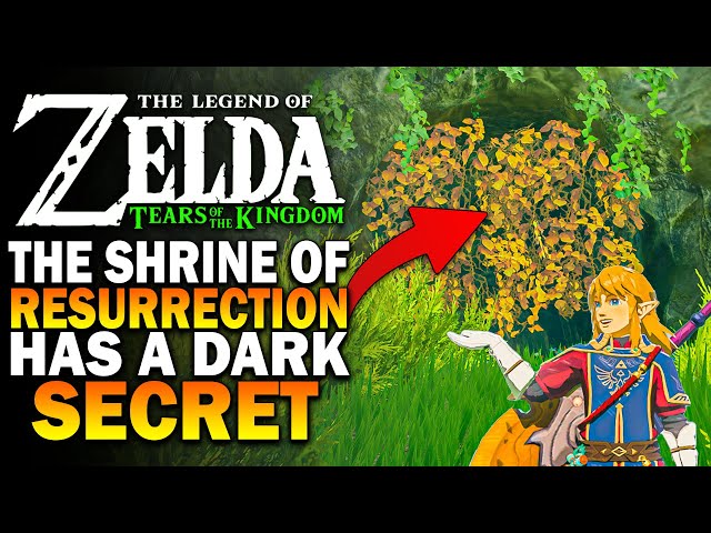 The Shrine Of Resurrection Has A Dark Secret In Zelda Tears Of The Kingdom