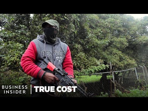 The True Cost Of Avocados | True Cost