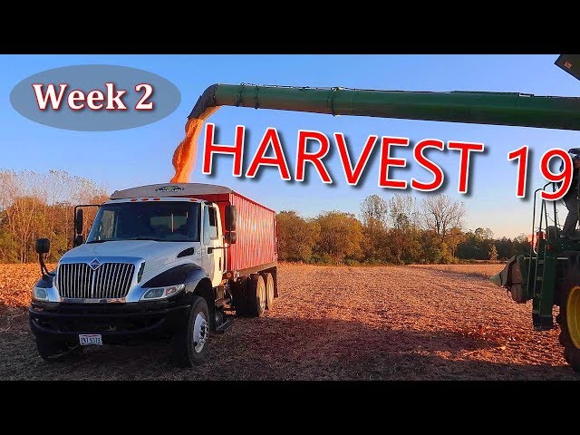 I Crashed the Drone! | Beans Finished, Switching to Corn | Harvest 19 Week 2 – Vlog 20