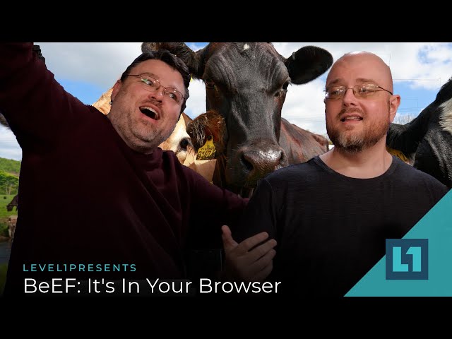 BeEF: It's In Your Browser.