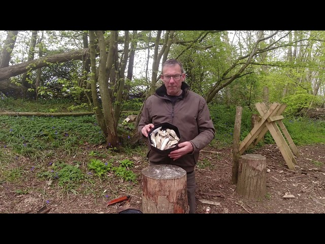 Charing birch polypore for tinder