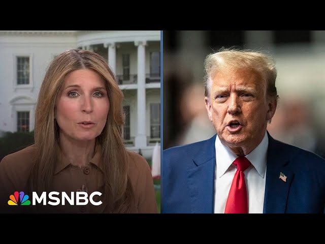 Nicolle Wallace: ‘For a million reasons petty, shallow, and primal Trump does not want go to jail’
