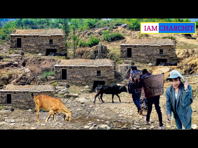 Nepali himalayan Village Life.Best Life in The Nepali Mountain Village | Very Peaceful Village life.